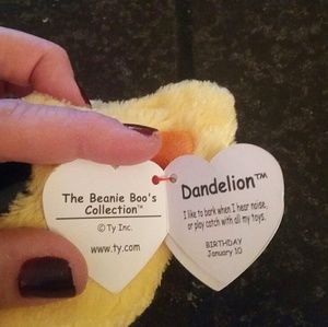 dandelion beanie boo